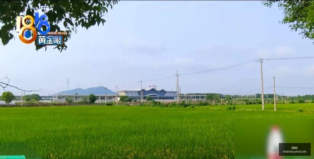年四季度增,长策略,增量政策全,米兰体育官网,米兰体育直播,米兰体育App,米兰体育下载,米兰体育资讯